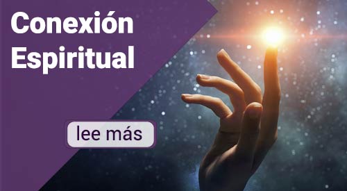Currículo de Vida Yógica