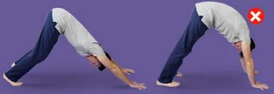 Adho Mukha Svanasana (Perro hacia abajo)
