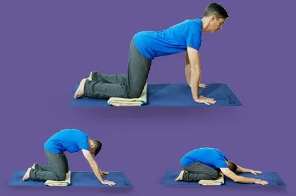 CHAKRAVAKASANA