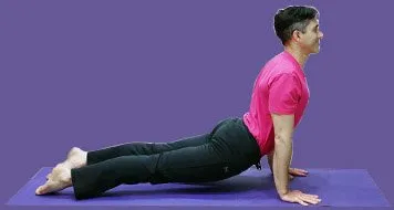 Urdhva Mukha Svanasana (Perro mirando hacia arriba)